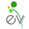ev life